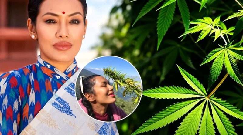 आवश्यक नियमावली मापदण्ड अनुमतिपत्रको व्यवस्था अझै आवश्यक