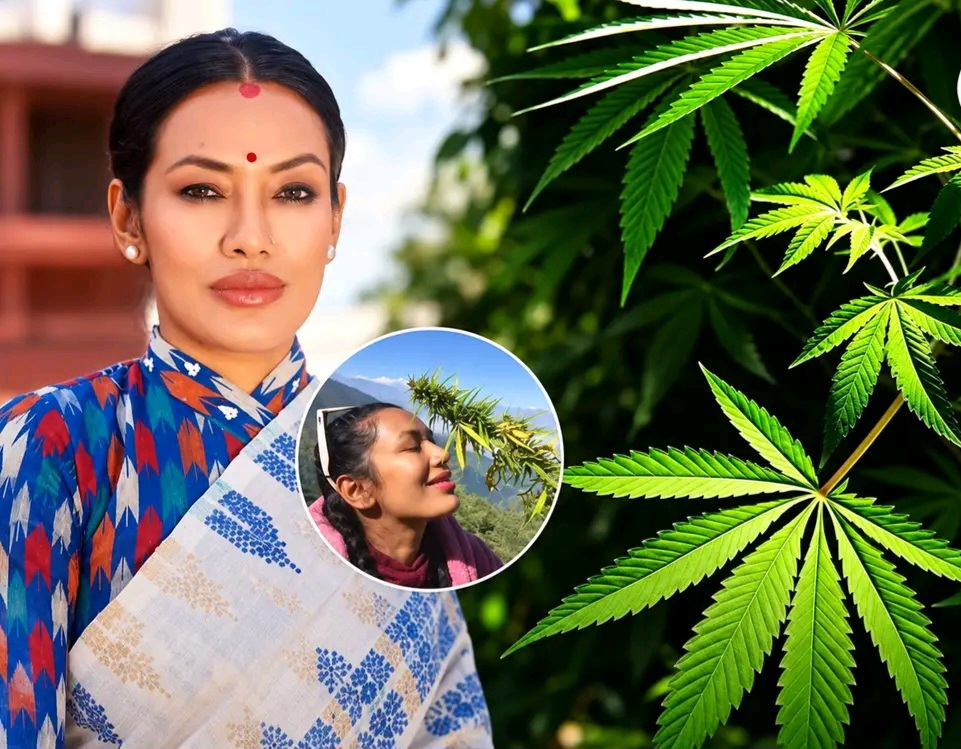 आवश्यक नियमावली मापदण्ड अनुमतिपत्रको व्यवस्था अझै आवश्यक