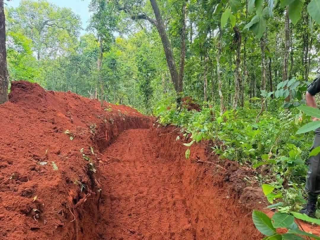 चितवनमा २२९ पहिचान नभएका शव व्यवस्थापन