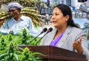 किसानको बक्यौता  रासायनिक मल दुग्ध विकास कृषिमा काम बढाएको मन्त्रालय को प्रतिवेदन