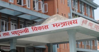 मोटा र मसिना धानको मूल्य निर्धारण गर्न कृषि विकास मन्त्रालयलाई सिफारिस
