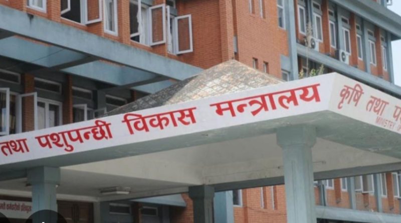 मोटा र मसिना धानको मूल्य निर्धारण गर्न कृषि विकास मन्त्रालयलाई सिफारिस