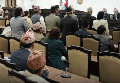 नेपाली कम्युनिष्ट पार्टीश्रम संस्कृति पार्टी र राष्ट्रिय प्रजातन्त्र पार्टी का सांसदहरूले बैठक बहिष्कार
