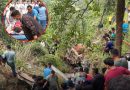 यात्रुवाहक बस दुर्घटनामा मृत्यु हुनेको संख्या आठ दुर्घटनामा अन्य १६ जना घाइते