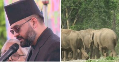 सीमावर्ती क्षेत्रबाट आउने हात्ती नियन्त्रण चुनौतीपुर्ण स्पेसल टास्क फोर्स आवास्यक