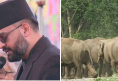 सीमावर्ती क्षेत्रबाट आउने हात्ती नियन्त्रण चुनौतीपुर्ण स्पेसल टास्क फोर्स आवास्यक