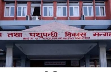 अनियमितता संस्थानभित्रको बेथितिको एउटा उदाहरण मात्र