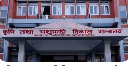 अनियमितता संस्थानभित्रको बेथितिको एउटा उदाहरण मात्र