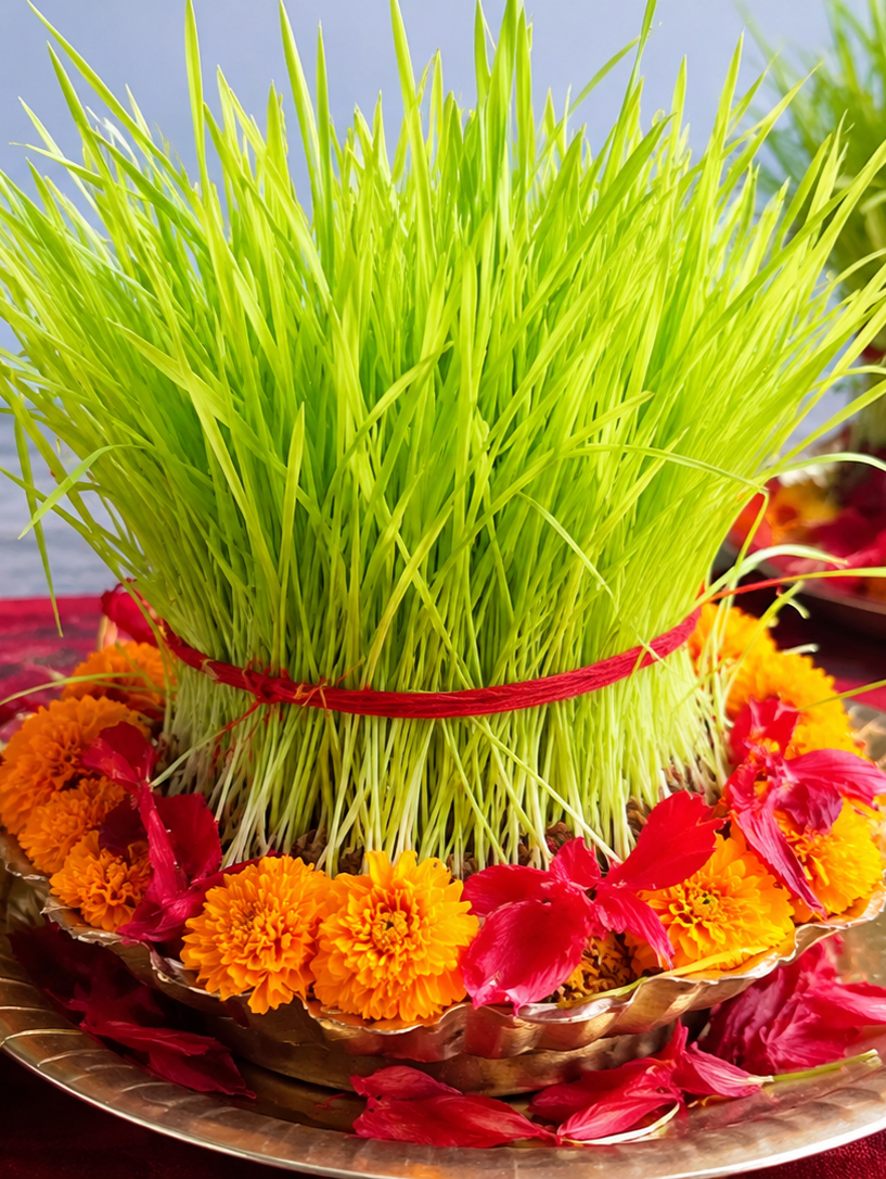 आज विजयादशमीको पूर्णिमासँगै दसैँको समापनतर्फ