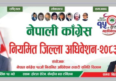 नेपाली कांग्रेस देउवा समूहको जिल्ला अधिवेशन हुँदै चितवनमा राजनीतिक सरगर्मी बढ्दै
